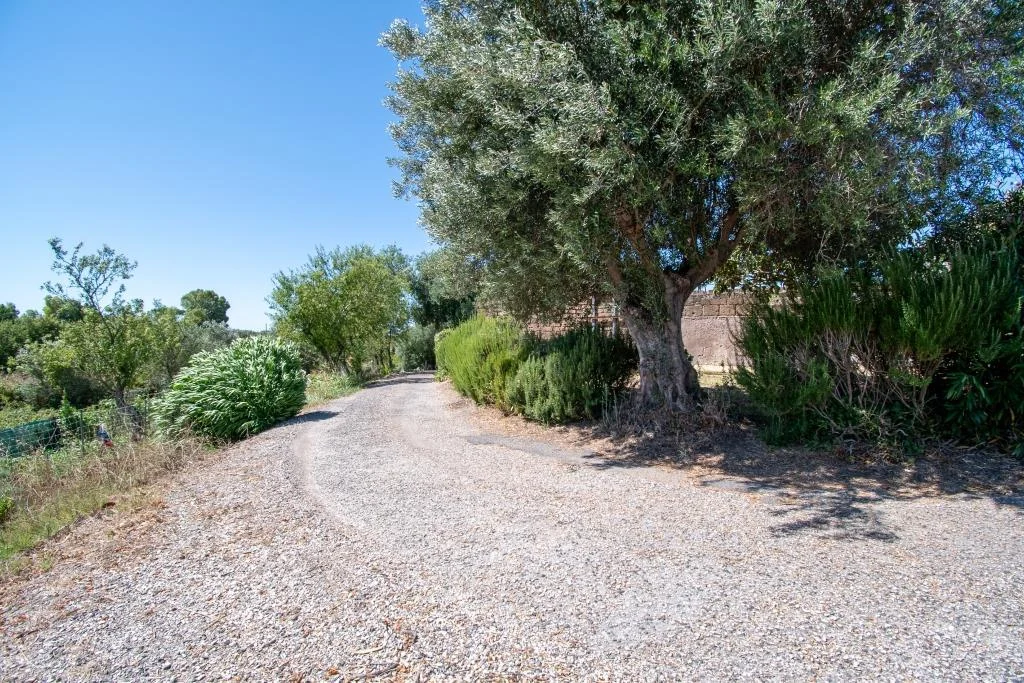 TENUTA DI CAMPAGNA CON VILLA PADRONALE, MAGAZZINI, AUTORIMESSE E TERRENO RIF. V/150 — foto 10