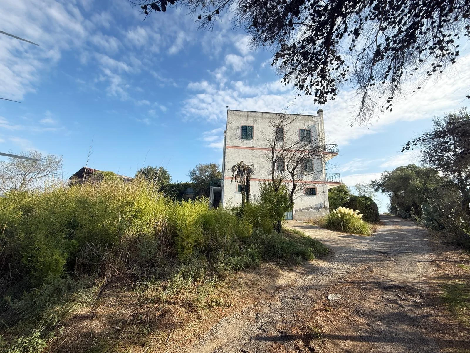 TENUTA DI CAMPAGNA CON VILLA PADRONALE, MAGAZZINI, AUTORIMESSE E TERRENO RIF. V/150 — foto 38