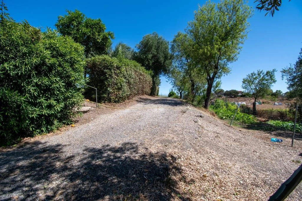 TENUTA DI CAMPAGNA CON VILLA PADRONALE, MAGAZZINI, AUTORIMESSE E TERRENO RIF. V/150 — foto 13