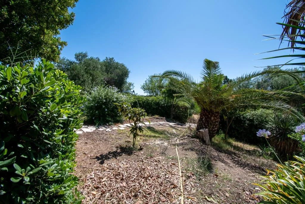 TENUTA DI CAMPAGNA CON VILLA PADRONALE, MAGAZZINI, AUTORIMESSE E TERRENO RIF. V/150 — foto 12
