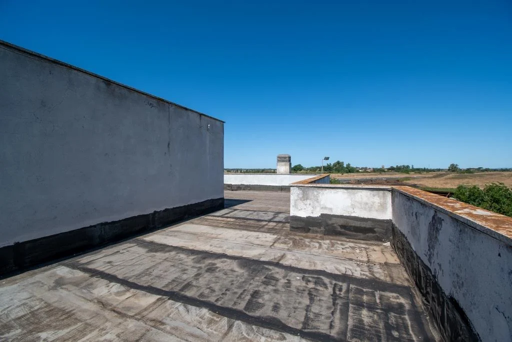 TENUTA DI CAMPAGNA CON VILLA PADRONALE, MAGAZZINI, AUTORIMESSE E TERRENO RIF. V/150 — foto 33