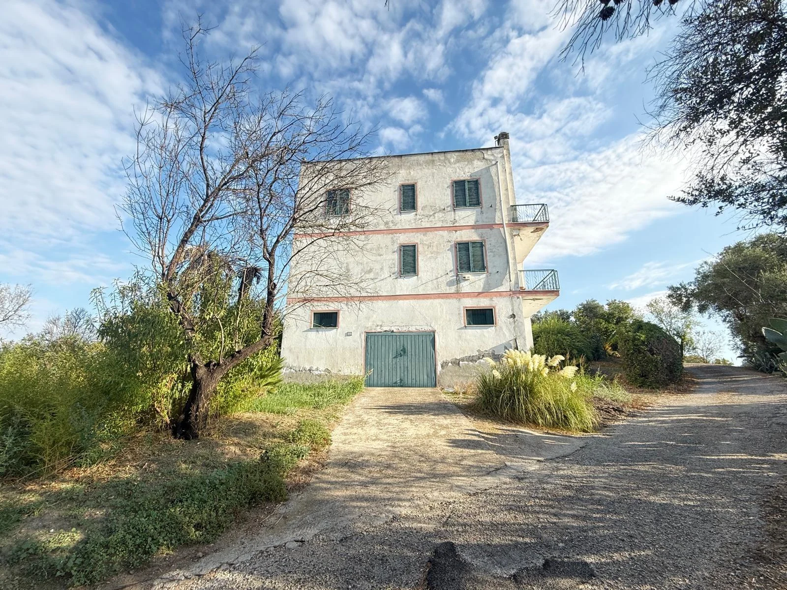 TENUTA DI CAMPAGNA CON VILLA PADRONALE, MAGAZZINI, AUTORIMESSE E TERRENO RIF. V/150 — foto 39