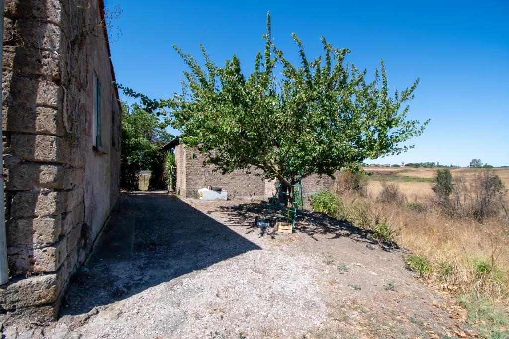 TENUTA DI CAMPAGNA CON VILLA PADRONALE, MAGAZZINI, AUTORIMESSE E TERRENO RIF. V/150 — foto 9