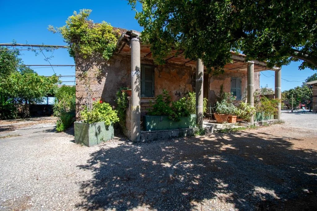TENUTA DI CAMPAGNA CON VILLA PADRONALE, MAGAZZINI, AUTORIMESSE E TERRENO RIF. V/150 — foto 7