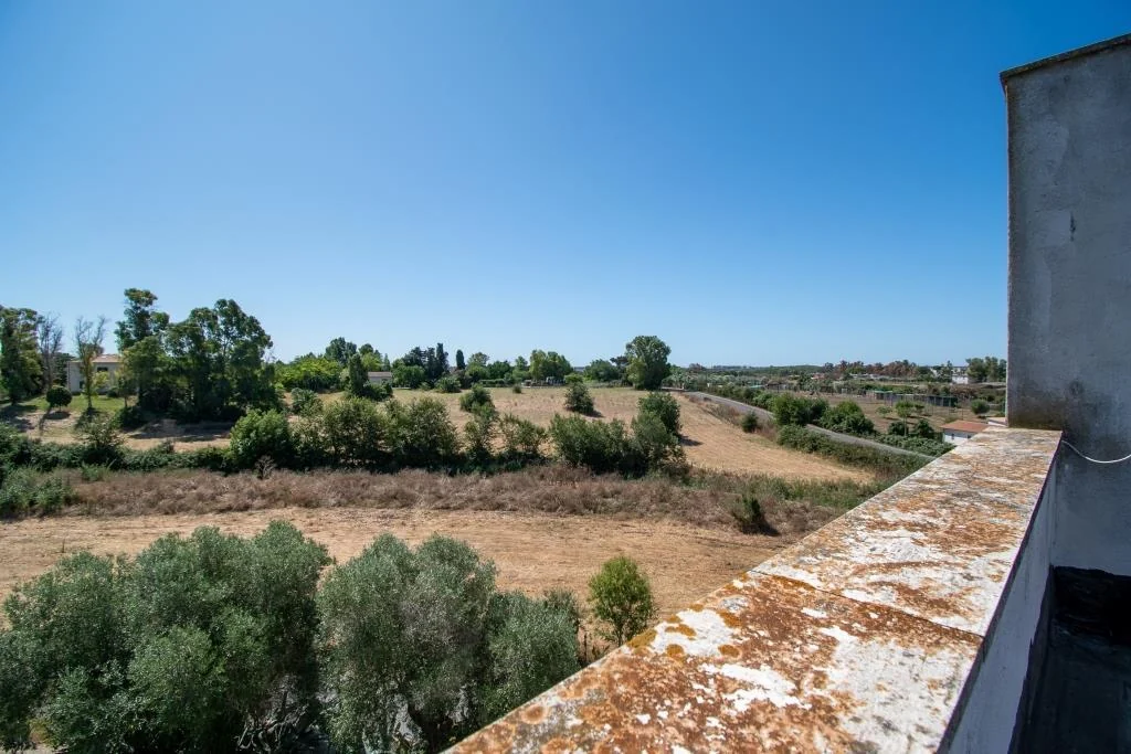 TENUTA DI CAMPAGNA CON VILLA PADRONALE, MAGAZZINI, AUTORIMESSE E TERRENO RIF. V/150 — foto 31